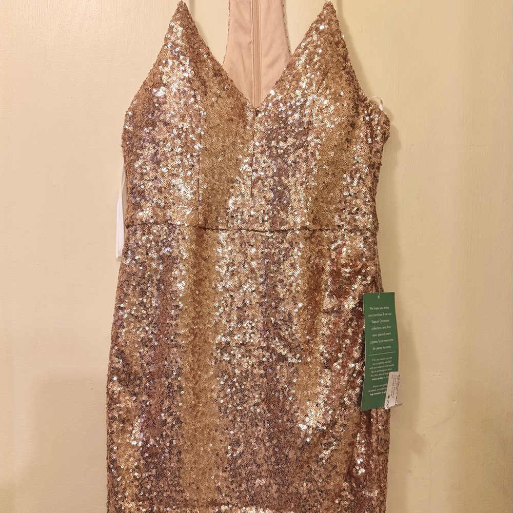 NWT Blush Pink Tulip Hem Sequin Mini Dress